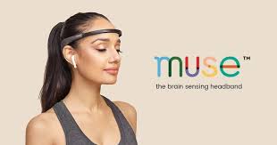 muse reviews explained simply