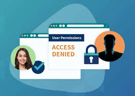 understanding user access review